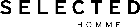 Selected Homme