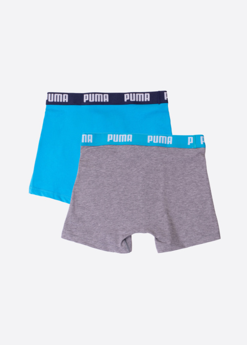 Боксеры Puma