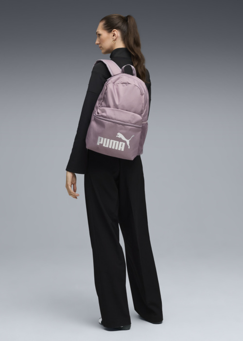 Puma mugursoma Phase