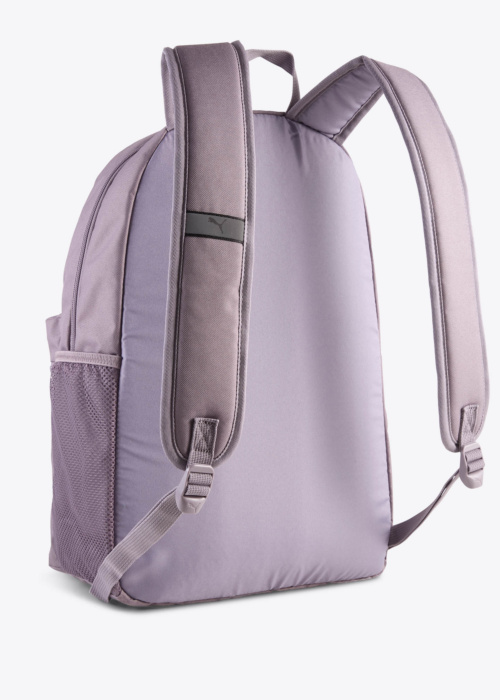 Puma mugursoma Phase