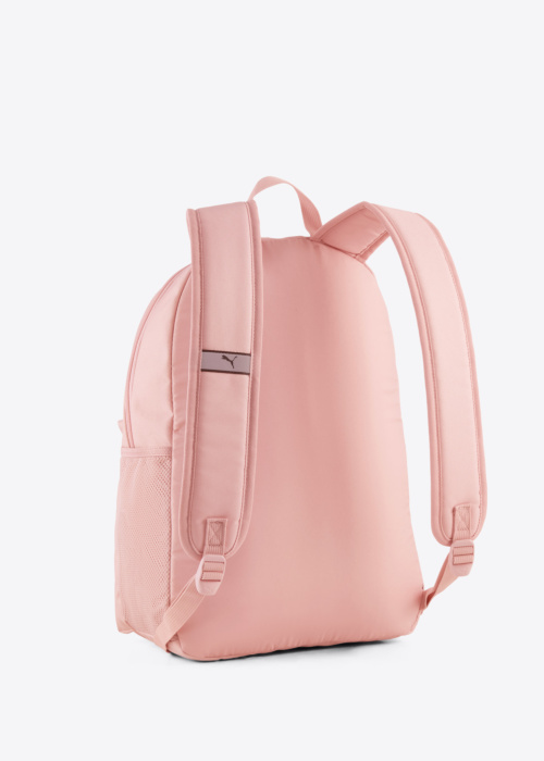 Puma mugursoma Phase