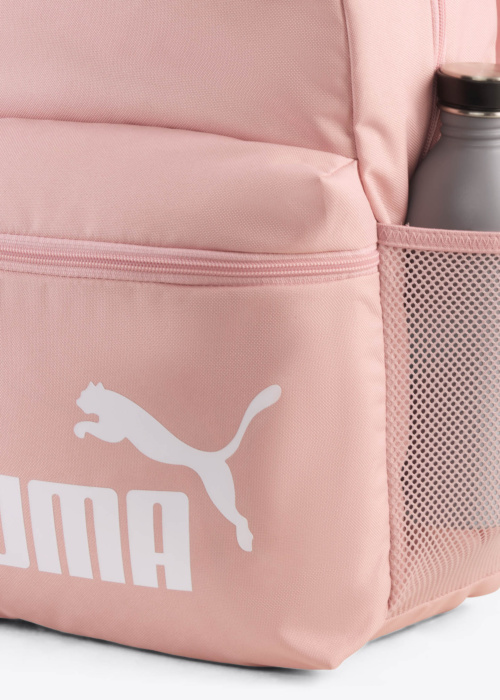 Puma mugursoma Phase