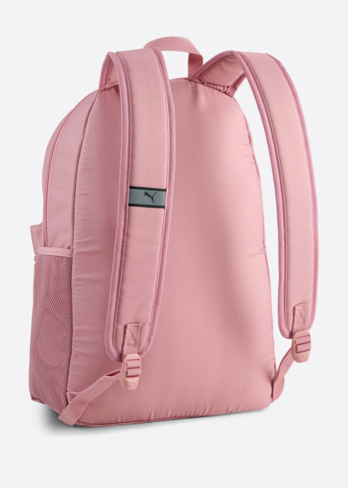 Puma mugursoma Phase