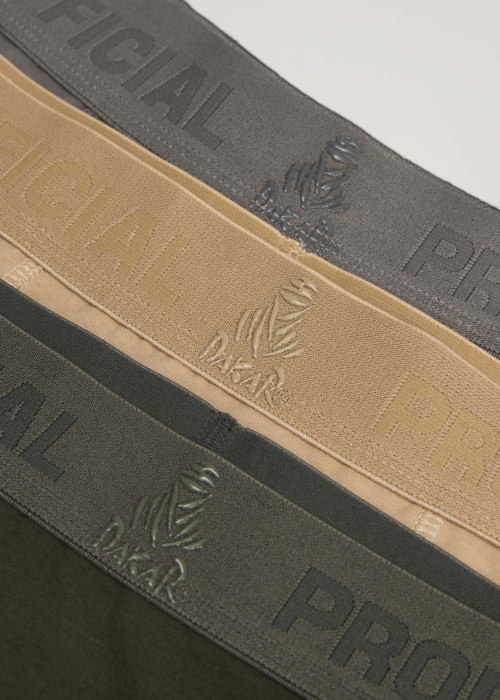 Diverse Dakar bokseršorti 3pac Dkr Official 3pack 2