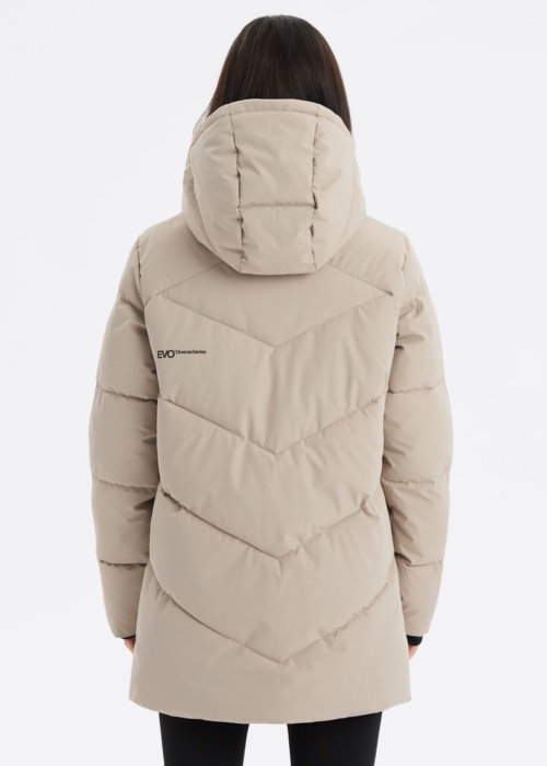 Diverse Ziemas virsjaka Evo Priani