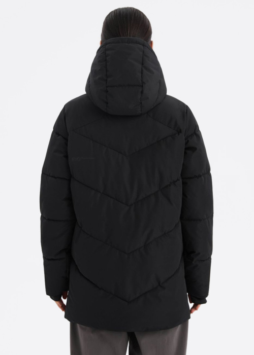 Diverse Ziemas virsjaka Evo Priani