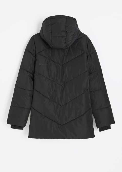 Diverse Ziemas virsjaka Evo Priani