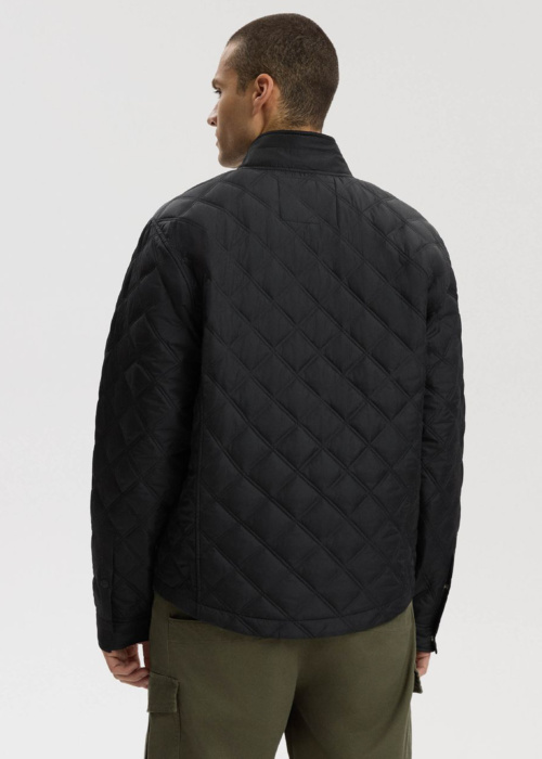 Diverse pavasara-rudens virsjaka Reneru 261