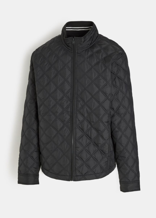 Diverse pavasara-rudens virsjaka Reneru 261