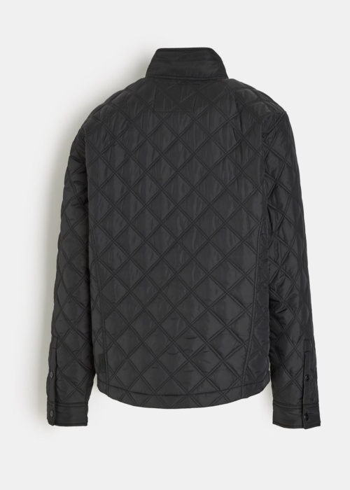 Diverse pavasara-rudens virsjaka Reneru 261