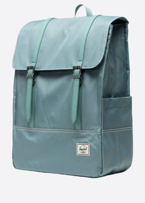 Herschel mugursoma Survey