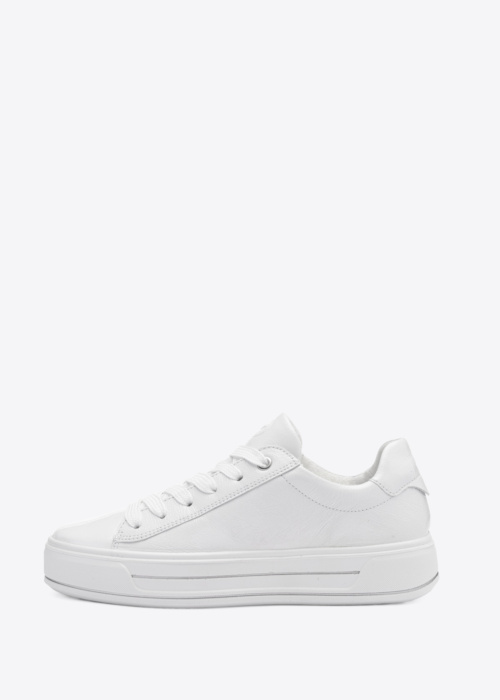 Ara kedas Canberra 3.0