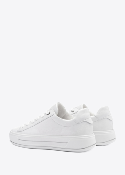 Ara kedas Canberra 3.0