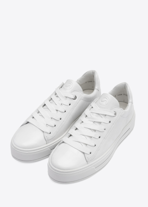 Ara kedas Canberra 3.0