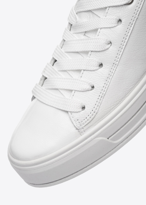 Ara kedas Canberra 3.0