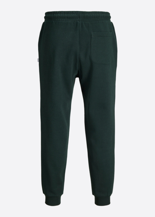 Jack & Jones sporta bikses Gordon Bradley