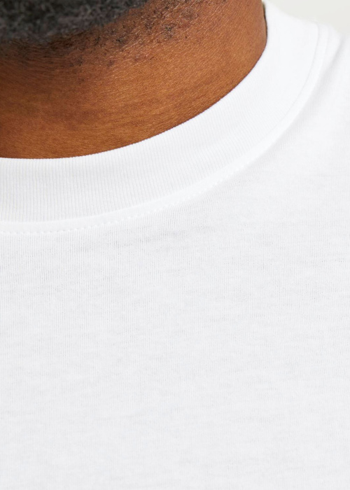Jack & Jones Plus T-krekls Bradley