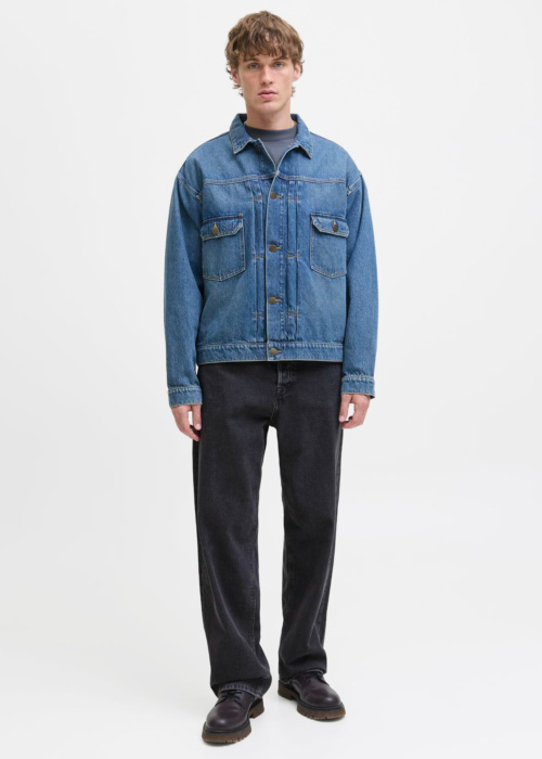 Jack & Jones džinsa bikses Alex