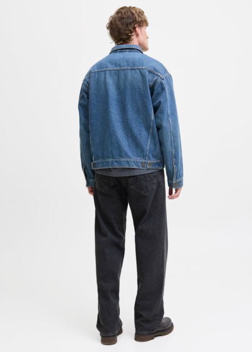 Jack & Jones džinsa bikses Alex