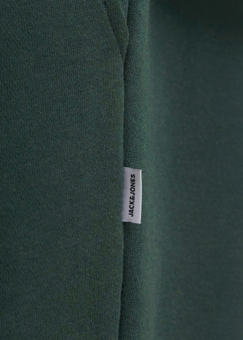 Jack & Jones sporta bikses Jpstkane Bradley