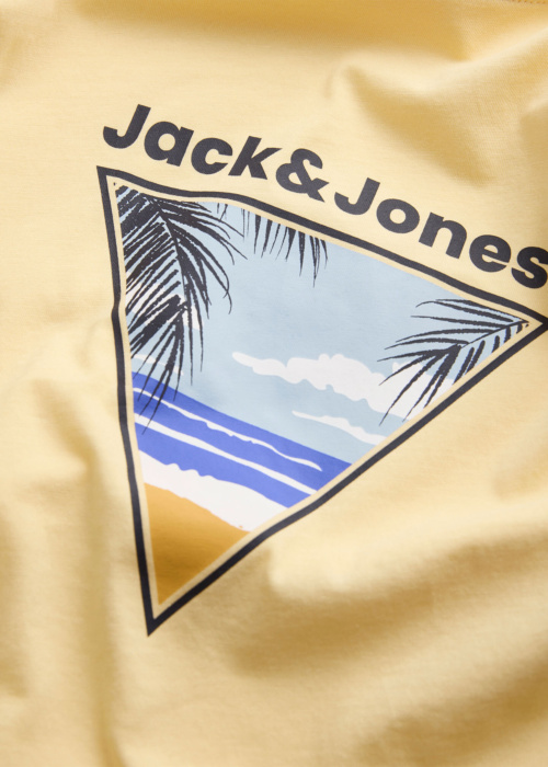 Jack & Jones T-krekls Perry