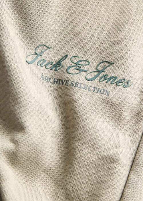 Jack & Jones sporta bikses Jpstgordon Archive