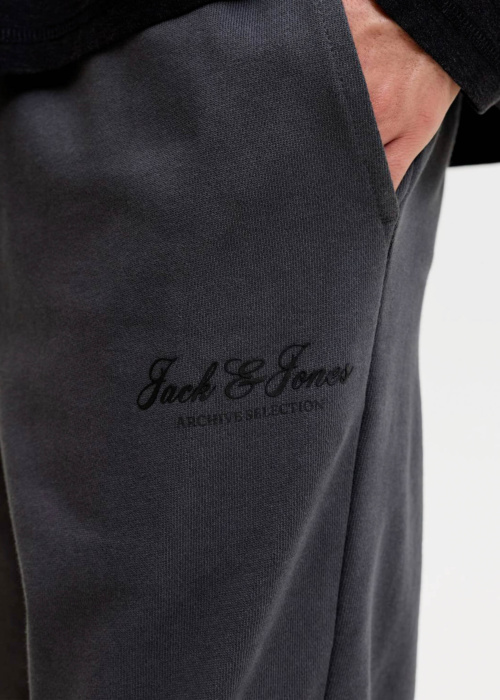Jack & Jones sporta bikses Jpstgordon Archive