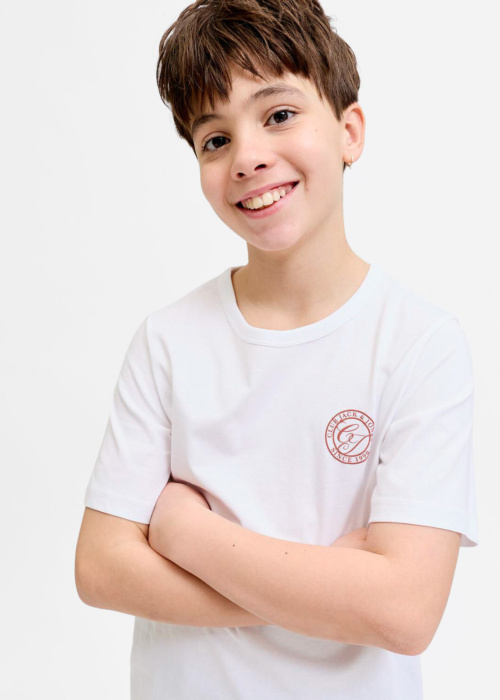 Футболка Alliance Jack & Jones