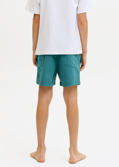 Пляжные шорты Maui Jack & Jones