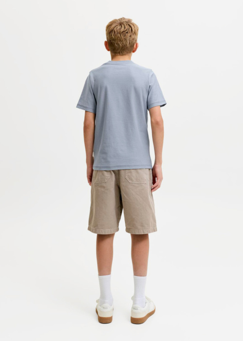 Jack & Jones T-krekls Cassis