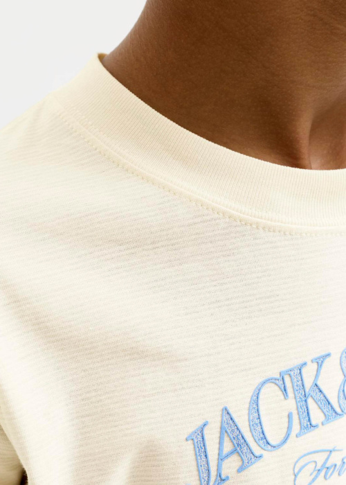 Jack & Jones T-krekls Cassis