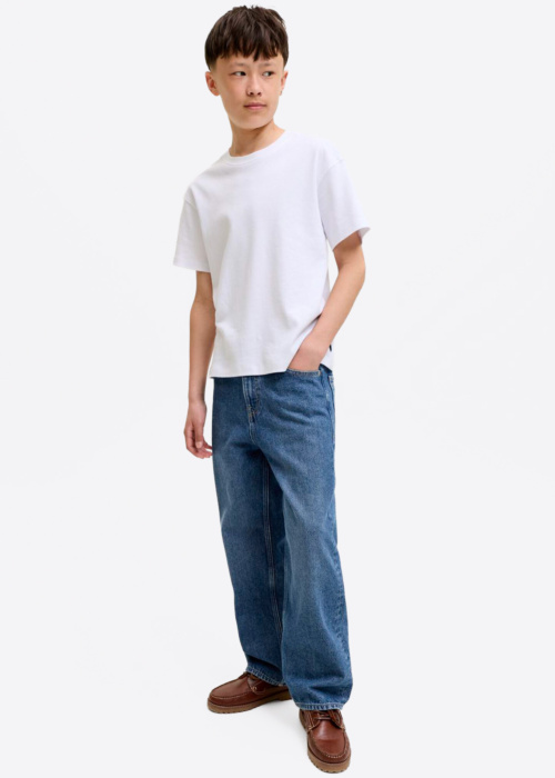 Jack & Jones džinsa bikses Alex