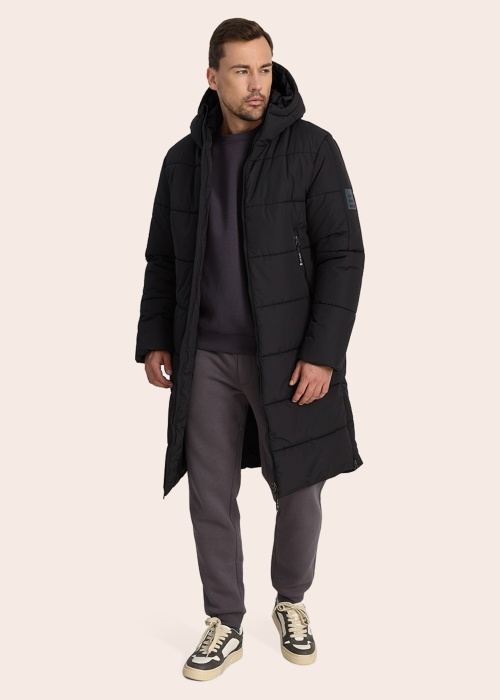 Huppa ziemas metelis Harto 1