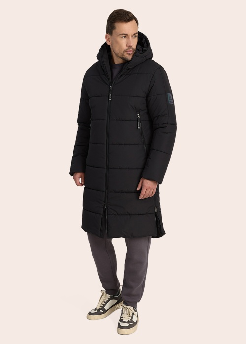 Huppa ziemas metelis Harto 1