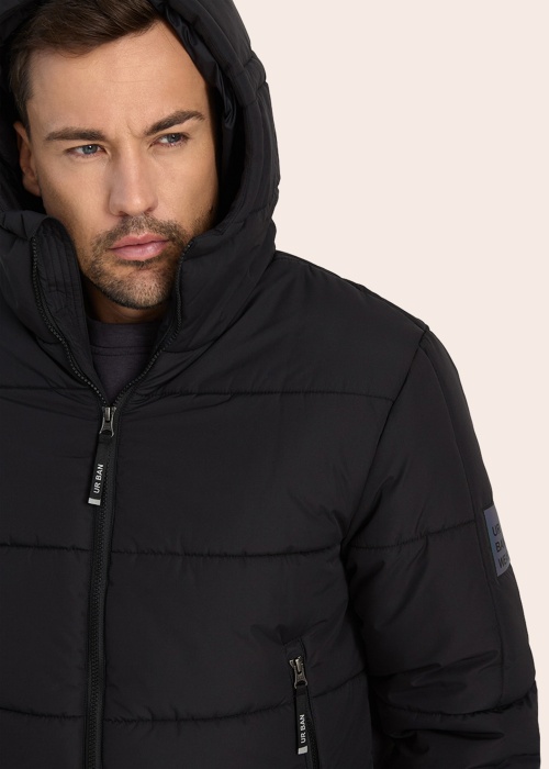 Huppa ziemas metelis Harto 1