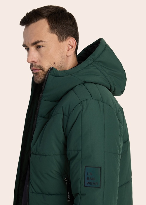 Huppa ziemas metelis Harto 1