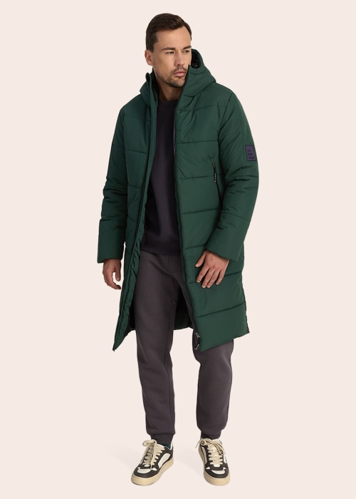 Huppa ziemas metelis Harto 1