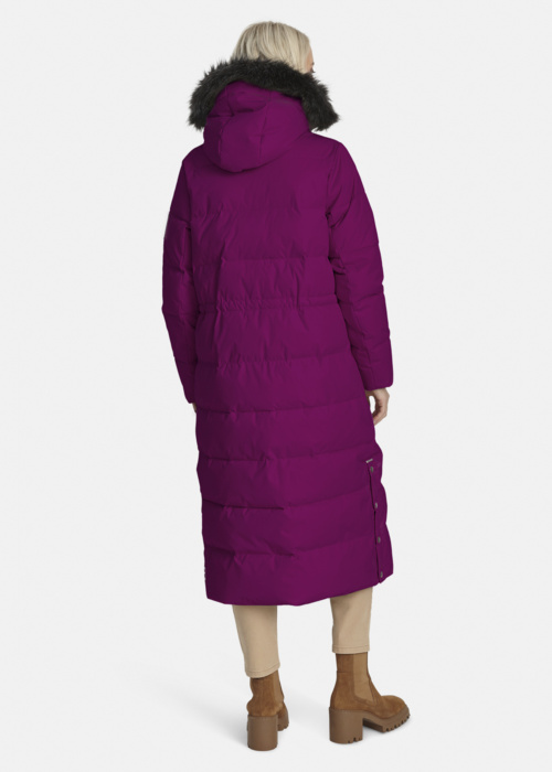 Huppa ziemas metelis Gudrun