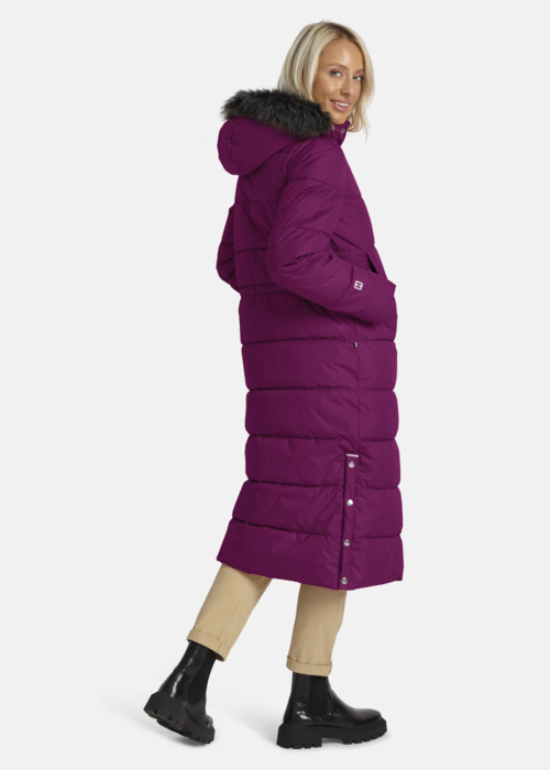 Huppa ziemas metelis Gudrun