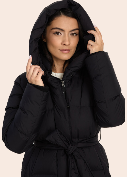 Huppa ziemas metelis Aida