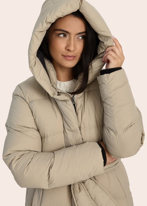 Huppa ziemas metelis Aida