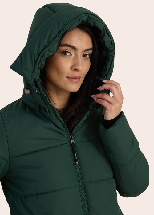 Huppa Ziemas virsjaka Jovia