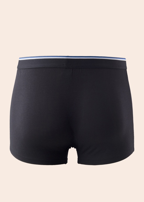 Боксеры Friends