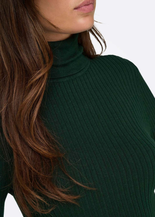 Кофта Karol Rollneck