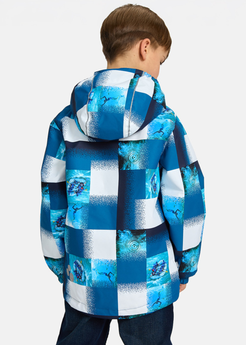 Huppa pavasara-rudens virsjaka