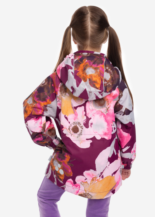 Huppa pavasara-rudens virsjaka Jone