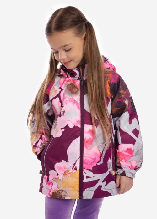 Huppa pavasara-rudens virsjaka Jone