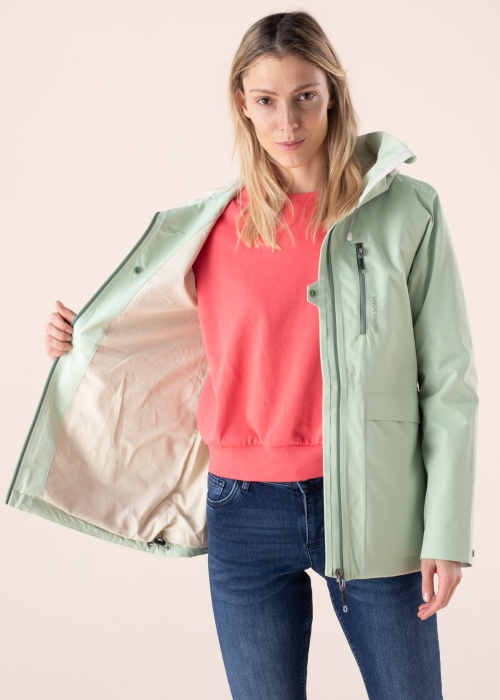 Didriksons pavasara-rudens virsjaka Wida