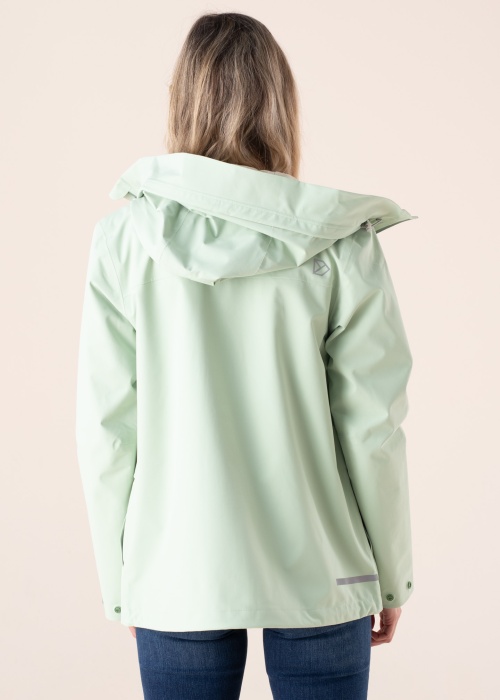 Didriksons pavasara-rudens virsjaka Wida