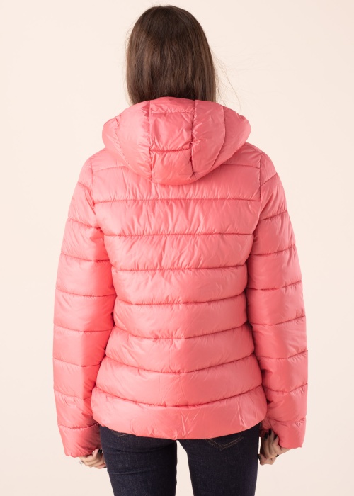 Champion pavasara-rudens virsjaka